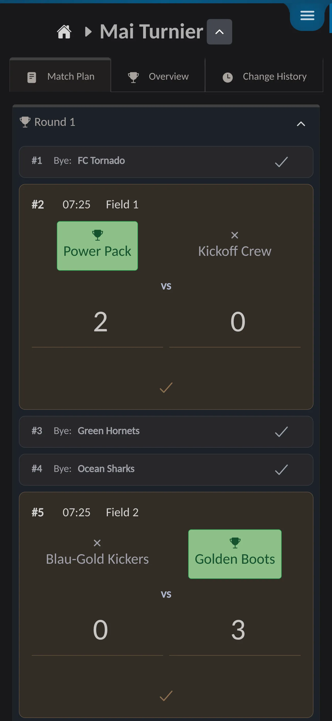 📸 Screenshot: Live tournament page / App mockup – This is what a running tournament looks like